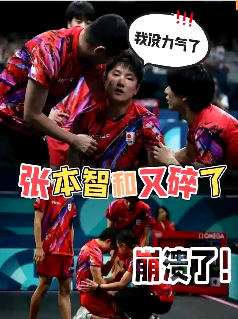 关于葡萄牙队完胜德国队,张本智和惊艳四座的信息 关于葡萄牙队完胜德国队,张本智和惊艳四座的信息